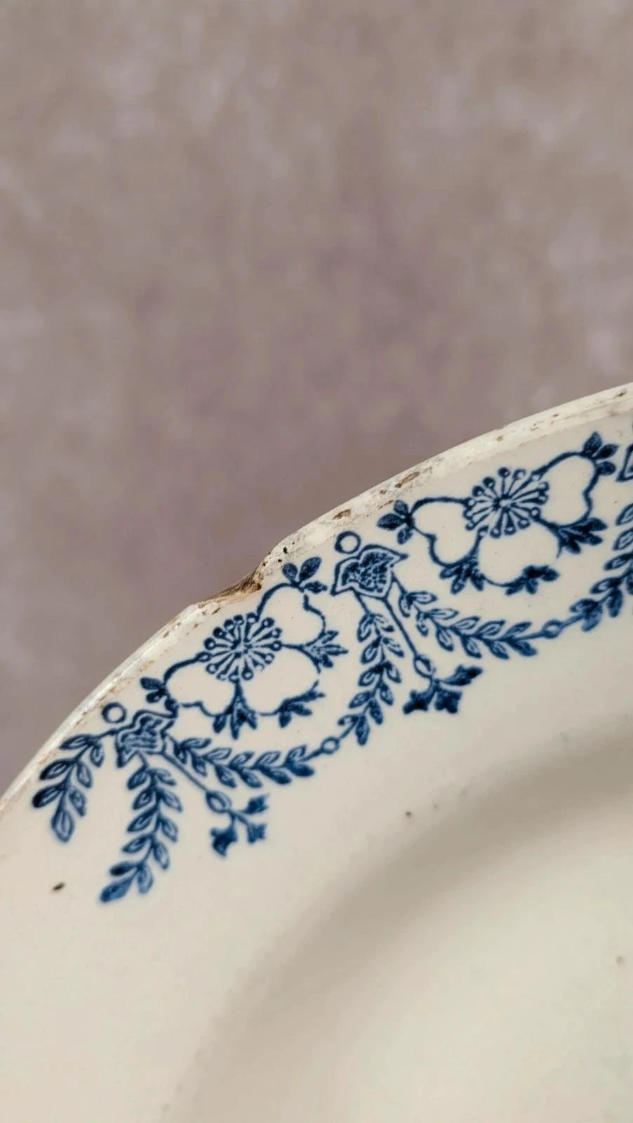 Plato hondo antiguo de terracota Digoin Sarreguemines modelo Jacques – decoración azul – photo 6